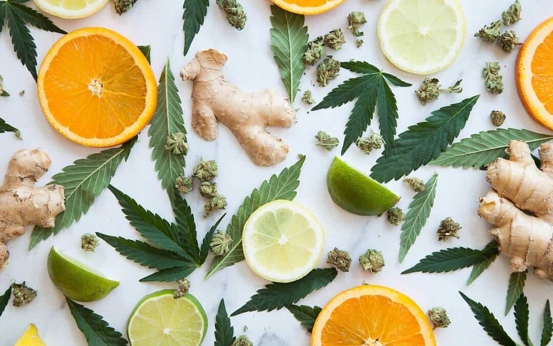 Terpenes and the Cannabis Connection