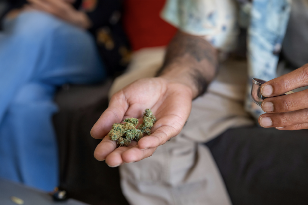 Up close of hand holding small nugs of the Obama Runtz Strain.