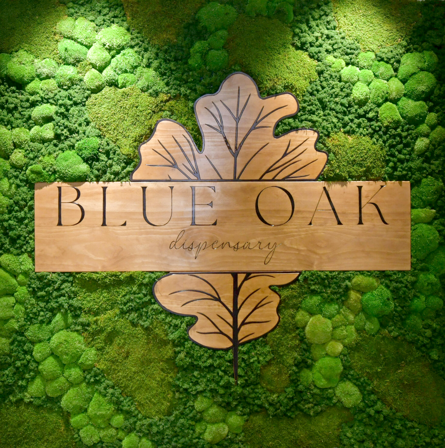 Wooden carved sign of Blue Oak Dispensary logo on green moss wall background