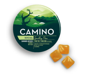 Camino Social 'Sparkling Pear' cannabis gummies in a round green tin with three gummies next to package.