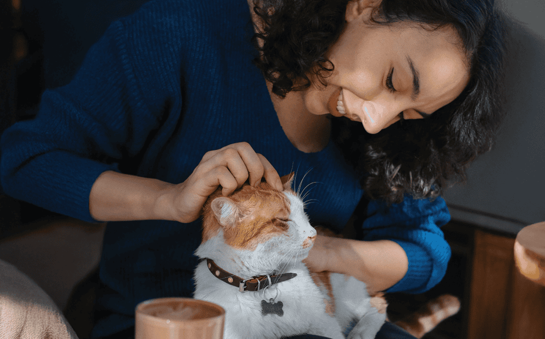 Things To Do In Montclair: Our Favorite Local Adventures