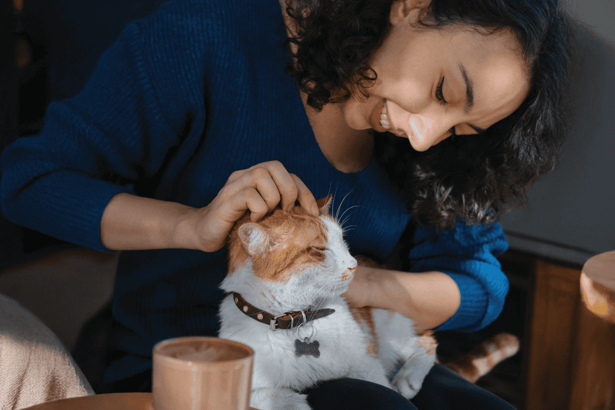 Things To Do In Montclair: Our Favorite Local Adventures