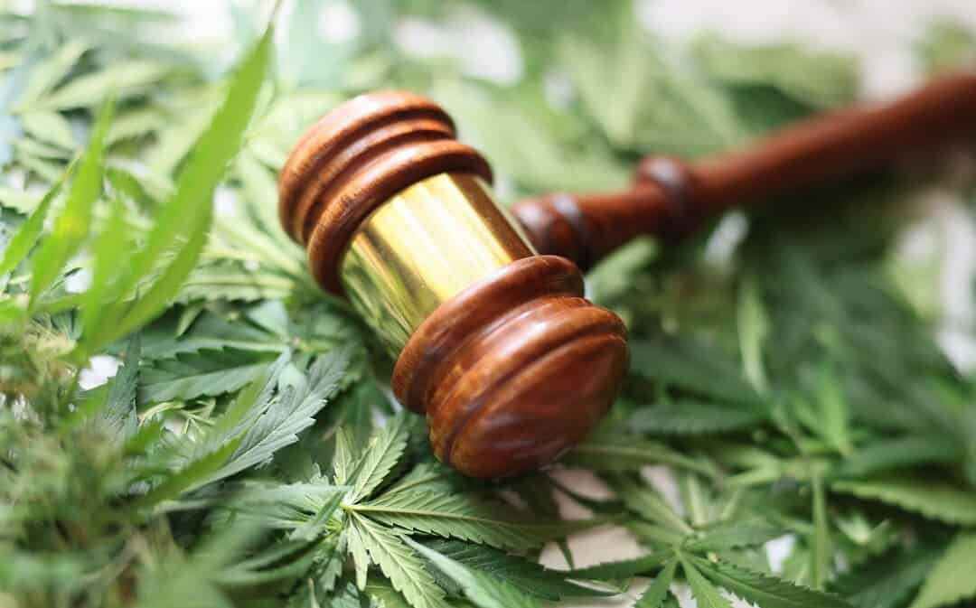 Is Hemp Being Banned? The Future of THC and CBD Products