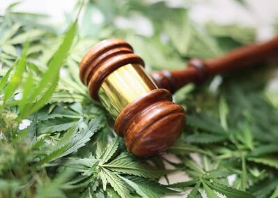 Is Hemp Being Banned? The Future of THC and CBD Products