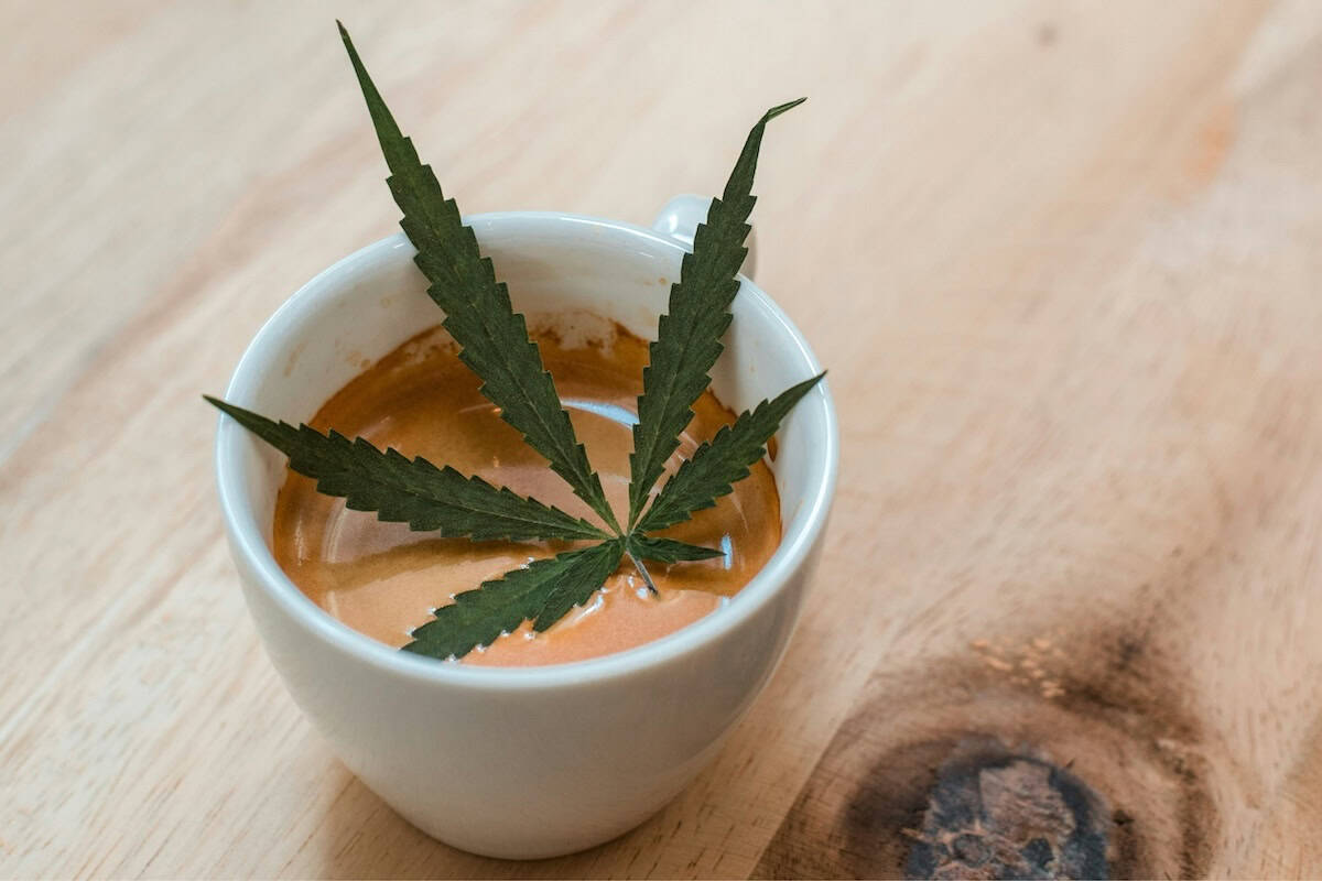 The Caffeine and THC Connection Cannabis leaf in a cup of coffee.