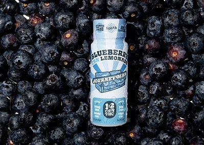Journeyman Lemonade Syrup Review